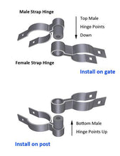 2" Female Hinge